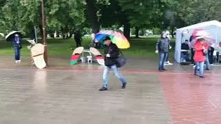 Стоп Таракан!