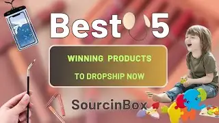 Best 5  Winning Products to Dropship Now 💗