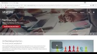 Veritas NetBackup  - NEVC License Model Explained !!!
