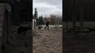 Барьер пока нам не дается🙈😂🤣
