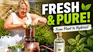 Making of Peppermint Hydrosol – Distilling in Copper Still