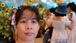 Sunflower sa Changi Airport |@quemoni5050