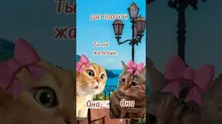 #отношения #брак #юмор