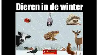 Dieren in de winter inkijkexemplaar groep 3/4