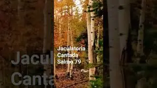 La viña del Señor es la casa de Israel - Jaculatoria Cantada #musicacatolica #oracion #salmos