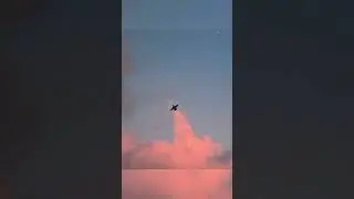 Perfect time photos with birds  🤩 | beautiful photos of birds 😍 | Perfect time photos| 