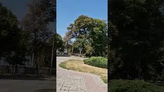 Полтава, жаркий день уходящего лета, 26.08.24