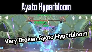 Ayato Hyperbloom with Nahida Genshin Impact