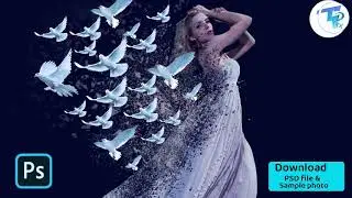Advanced Photoshop tutorial in Hindi | Bird Dispersion effect on Photoshop 2021 