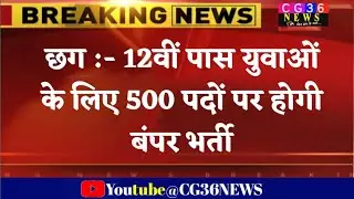 छत्तीसगढ़ 500 पदों पर सरकारी / 12th pass cg govt New vacancy 2023/ Chhattisgarh recruitment job