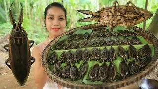 Yummy cooking lethocerus recipe - Cooking skill