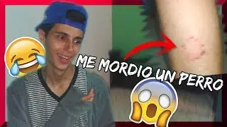 RAZONES DE PORQUE ME DESAPARECÍ + ME MORDIÓ UN PERRO.