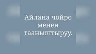 Кыргыз орламенттери