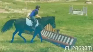 *WATCH IN HD* First Cross Country Schooling! *update in bio*
