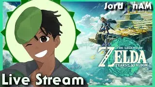Chilling and Playing Some Zelda