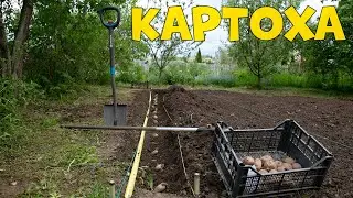 МОСКВИЧ сажает КАРТОШКУ и получает УДОВОЛЬСТВИЕ