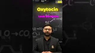 Oxytocin Love Hormone 
