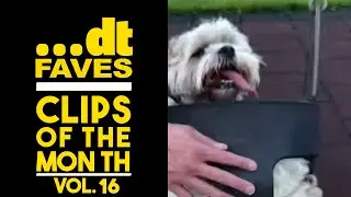 DTM Faves Clips of the Month Vol. 16 | Doing Things