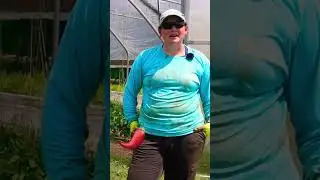 Level Up Your Pepper Plants 🌶️