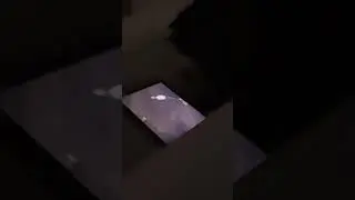 Cat Playing Cat Game App