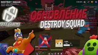 Оценка чита | Destroy Squad | 1.5 NEW