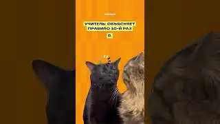 Учитель  объясняет правило 10-й раз #математика #огэ #shorts