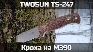 TWOSUN TS-247: Кроха на M390