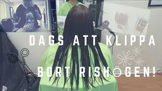 KLIPPER BORT BUSKEN TILL HÅR