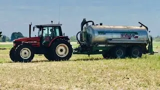 Farmer Is Working To Get all The COWS Dung Out | FARMERS LIFE