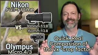 Quick Comparison with Olympus Micro Four Thirds vs Full Frame Sensor.