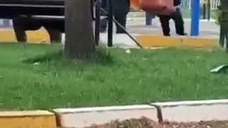 MEĞER MEMLEKETİN EN ANARŞİST KESİMİ DEDELERMİŞ
