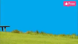 4k Grass/green video .
