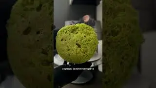 Рецепт кондитерского мха 🪴