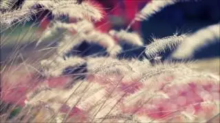 Twoloud-My Remedy[Progressive House]