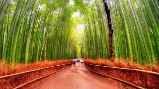 The most amazing places on the planet TOP 10 (TOURIST AND BEAUTIFUL PLACES)