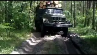 ,,бешеный,,лесовоз