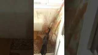 Прощание с Верой. 10 ноября 2024
