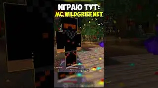 Я убил МЕЛЛСТРОЯ на СВОем СЕРВЕРЕ МАЙНКРАФТ #майнкрафт #minecraft #funtime #майн #wildgrief