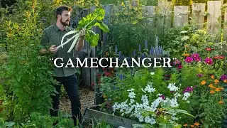 The Hidden Permaculture Principle (& How To Use It)