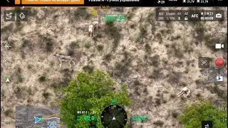 Стая волков. #hunting #стая #охота2024 #wolf #охота #drone #animals #wildlife #охотавроссии