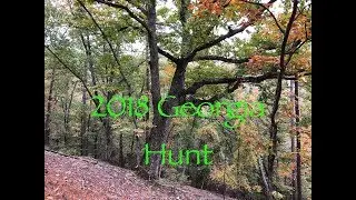 2018 Archery Success