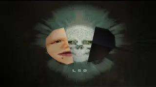 LSD Dream Emulator, a Year inside a Dream