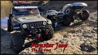 Crawling on the Rocks!