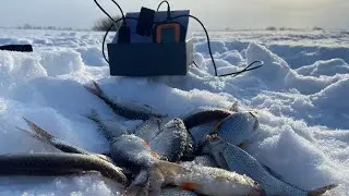 ВЕСЕННЯЯ РЫБАЛКА НА ПЛОТВУ!МАРТОВСКАЯ РЫБАЛКА!ПЛОТВА НА БОЛТУШКУ!