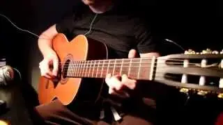 New Bark Town - (Guitar + Accordion arrangement)