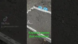 22 августа 2022 г.