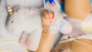The Love of Lily Mae