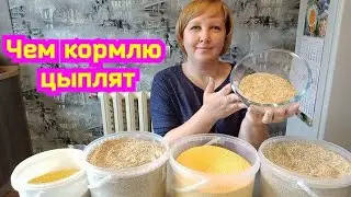 КОМБИКОРМ ДЛЯ ЦЫПЛЯТ🐥🐥🐥