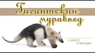 📗 