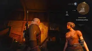 Witcher 3